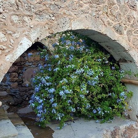 Tania Village Zakros Maisonette 外观 照片