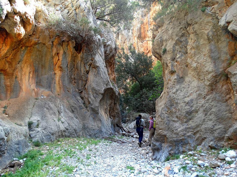 Tania Village Zakros Maisonette 外观 照片