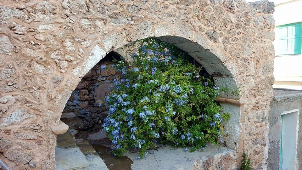 Tania Village Zakros Maisonette 外观 照片